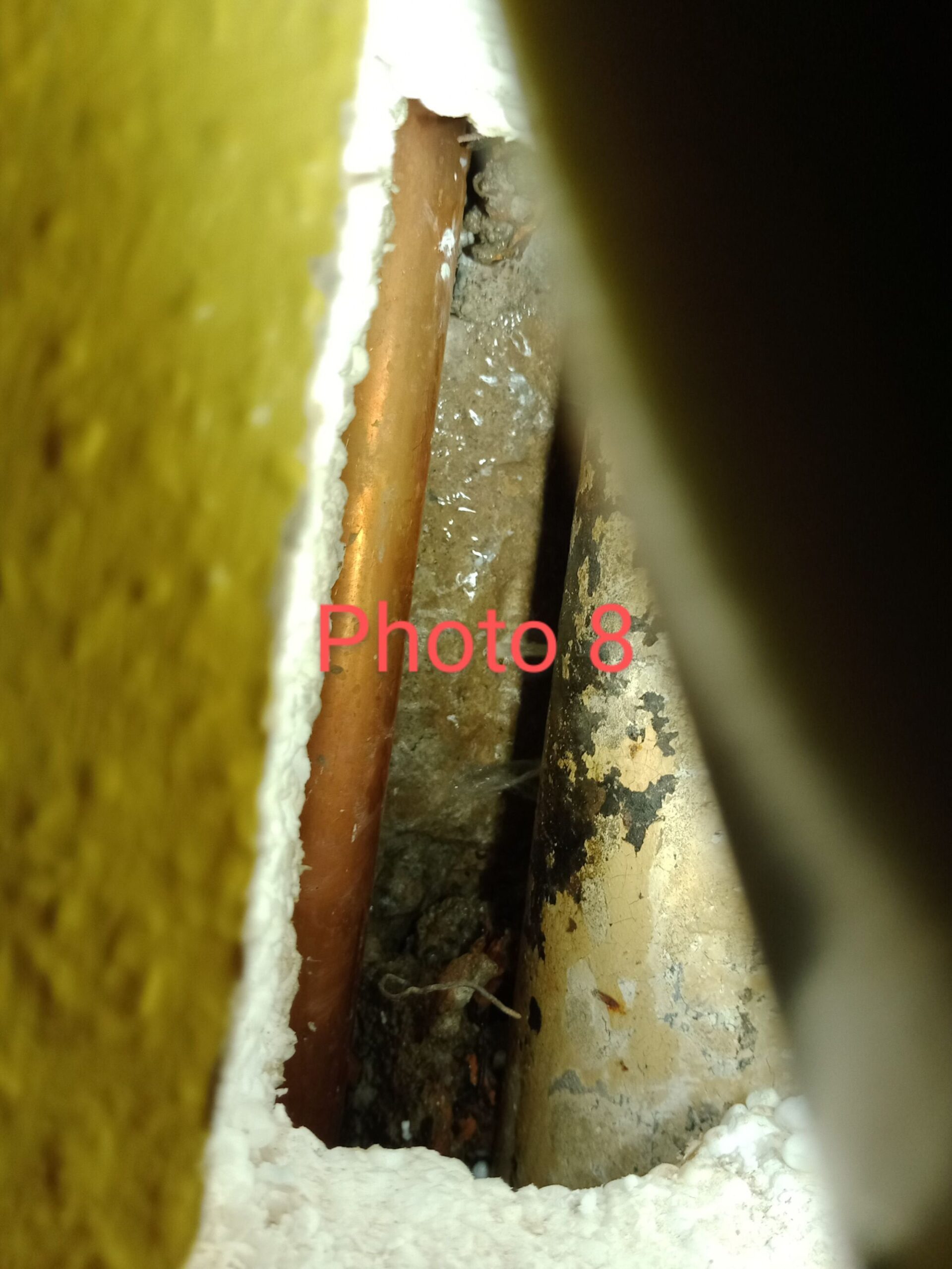 8 SCALED | Maison Blech Recherche de fuite sur une conduite dans un appartement à Mulhouse : intervention de Maison Blech à Riedisheim Mulhouse 6